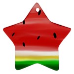 Painted watermelon pattern, fruit themed apparel Star Ornament (Two Sides)
