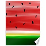 Painted watermelon pattern, fruit themed apparel Canvas 12  x 16 