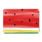 Painted watermelon pattern, fruit themed apparel Small Doormat 
