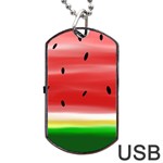 Painted watermelon pattern, fruit themed apparel Dog Tag USB Flash (Two Sides)