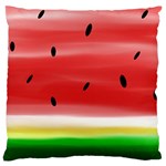 Painted watermelon pattern, fruit themed apparel Large Cushion Case (One Side)