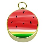 Painted watermelon pattern, fruit themed apparel Gold Compasses