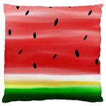Painted watermelon pattern, fruit themed apparel Standard Flano Cushion Case (Two Sides)