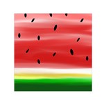 Painted watermelon pattern, fruit themed apparel Small Satin Scarf (Square)