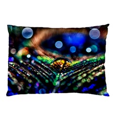 Peacock Feather Drop Pillow Case by artworkshop