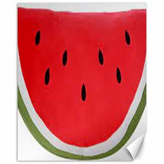 Watermelon Pillow Fluffy Canvas 16  X 20  by artworkshop