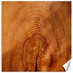 Annual Rings Tree Wood Canvas 16  x 16 