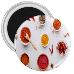 Masala Spices Food 3  Magnets by artworkshop