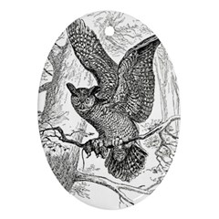 Owl-animals-wild-jungle-nature Ornament (oval)