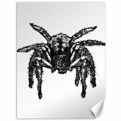 Front View Big Spider Graphic 2 Canvas 36  X 48  by dflcprintsclothing