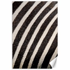  Zebra Pattern  Canvas 24  X 36  by artworkshop
