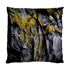 Rock Wall Crevices Geology Pattern Shapes Texture Standard Cushion Case (one Side) by artworkshop