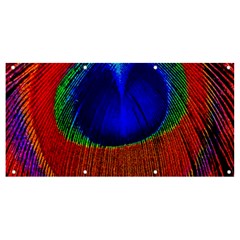 Peacock Plumage Fearher Bird Pattern Banner And Sign 8  X 4 