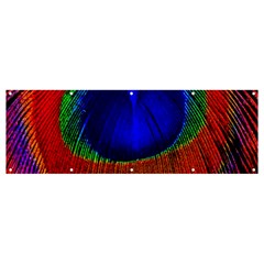 Peacock Plumage Fearher Bird Pattern Banner And Sign 12  X 4 