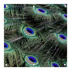 Plumage Peacock Feather Colorful Banner And Sign 3  X 3 