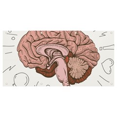 Cerebrum Human Structure Cartoon Human Brain Banner And Sign 8  X 4 