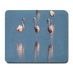 Flamingo Birds Plumage Sea Water Large Mousepads by artworkshop