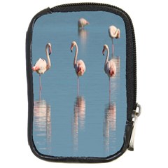 Flamingo Birds Plumage Sea Water Animal Exotic Compact Camera Leather Case by artworkshop