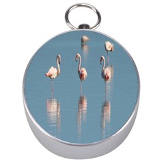 Flamingo Birds Plumage Sea Water Animal Exotic Silver Compasses by artworkshop
