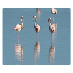 Flamingo Birds Plumage Sea Water Animal Exotic Double Sided Flano Blanket (small)  by artworkshop