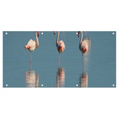 Flamingo Birds Plumage Sea Water Animal Exotic Banner And Sign 8  X 4  by artworkshop
