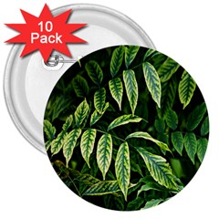 Leaves Foliage Twig Bush Plant 3  Buttons (10 Pack)  by artworkshop