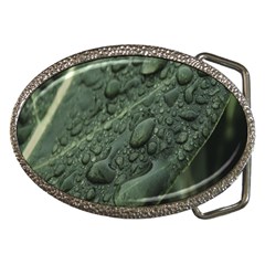 Leaves Water Drops Green  Belt Buckles by artworkshop