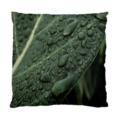 Leaves Water Drops Green  Standard Cushion Case (one Side) by artworkshop