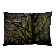 Tree Moss Forest Bark Wood Trunk Pillow Case by Wegoenart