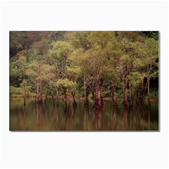 Landscape Jungle Reflection Nature Postcards 5  X 7  (pkg Of 10) by Wegoenart