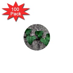 Vine On Damaged Wall Photo 1  Mini Buttons (100 Pack)  by dflcprintsclothing