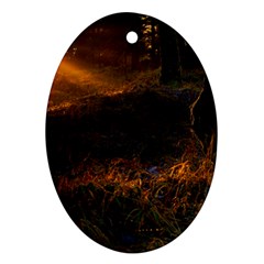 Sunset Forest Fall Sunbeams Nature Oval Ornament (two Sides) by danenraven