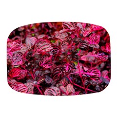 Red Leaves Plant Nature Leaves Flora Foliage Mini Square Pill Box by danenraven