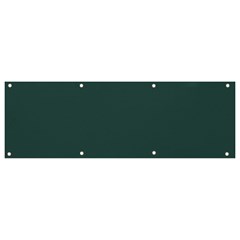 Color Dark Slate Grey Banner And Sign 9  X 3  by Kultjers