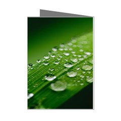 Green Water Leaf Mini Greeting Cards (pkg Of 8) by artworkshop