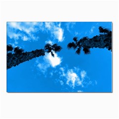 Trees & Sky In Martinsicuro, Italy  Postcard 4 x 6  (pkg Of 10) by ConteMonfrey