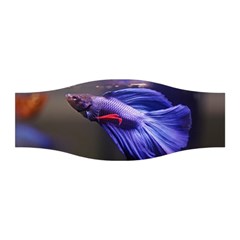 Betta Fish Photo And Wallpaper Cute Betta Fish Pictures Stretchable Headband by StoreofSuccess