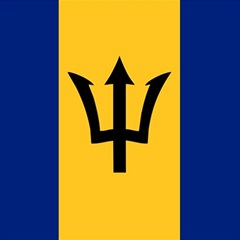 Barbados Play Mat (rectangle) by tony4urban