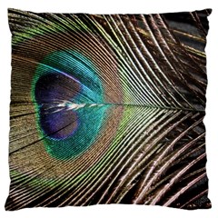 Peacock Large Cushion Case (two Sides) by StarvingArtisan