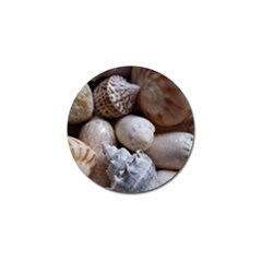 Beautiful Seashells  Golf Ball Marker (4 Pack) by StarvingArtisan