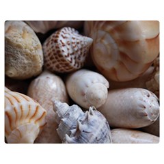 Beautiful Seashells  One Side Premium Plush Fleece Blanket (medium) by StarvingArtisan