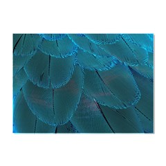 Beautiful Plumage Crystal Sticker (a4) by artworkshop