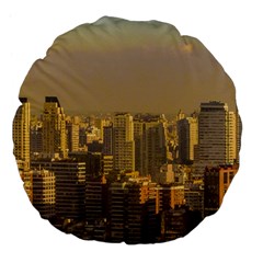 Buenos Aires City Aerial View002 Large 18  Premium Flano Round Cushions by dflcprintsclothing
