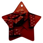 Valentines Gift Ornament (Star)