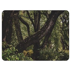 Botanical Motif Trees Detail Photography Premium Plush Fleece Blanket (extra Small) by dflcprintsclothing