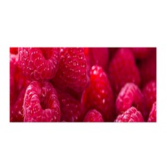 Raspberries Satin Wrap 35  X 70  by artworkshop