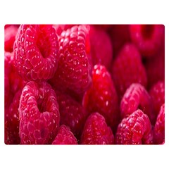 Raspberries One Side Premium Plush Fleece Blanket (extra Small) by artworkshop
