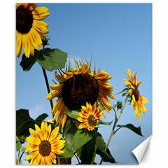 Sunflower Flower Yellow Canvas 8  X 10  by artworkshop