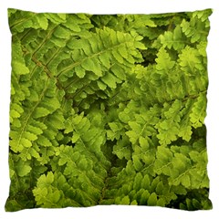 Botanical Motif Plants Detail Photography Standard Premium Plush Fleece Cushion Case (two Sides) by dflcprintsclothing