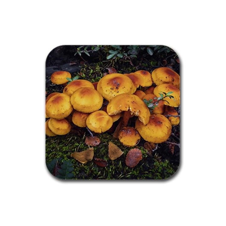 Orange Mushrooms In Patagonia Forest, Ushuaia, Argentina Rubber Square Coaster (4 pack)